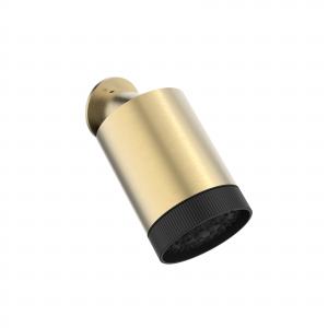 Tranquil Multi Mode Showerhead Brushed Brass (FH342F)
