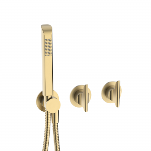 Module Foile 2 Handle With Handshower Brushed Brass (FOMOD1701TRIMF)