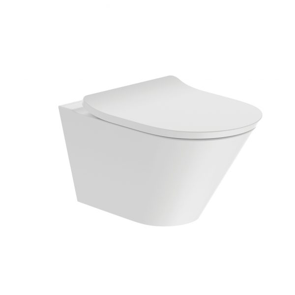 Brazn RIMLESS WALL HUNG ROUND TOILET (26994IN-0)