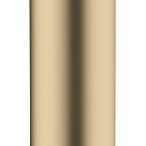 MPRO Follow Me Hose Brushed Brass (PRO812F)