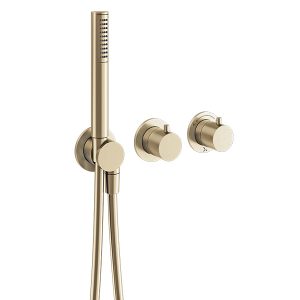 Module MPRO 2 Control Trimset With Handshower Brushed Brass (PROMOD1701TRIMF)