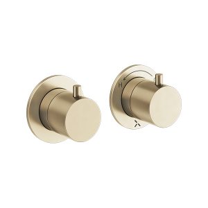 Module MPRO 2 Control Diverter Trimset Brushed Brass (PROMODDIVLBPF)