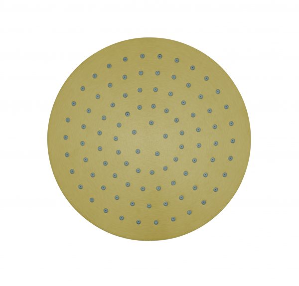 3ONE6 Shower Head 200mm Stainless Brushed Brass Effect (TS200SF)
