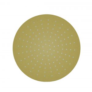 3ONE6 Shower Head 300mm Stainless Brushed Brass Effect (TS300SF)