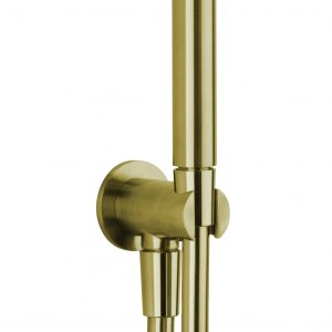 3ONE6 Design Shower Handset, Hose & Wall Outlet Stainless Brushed Brass Effect (TS963SF)
